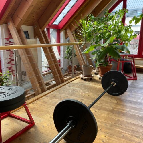 Affenhand Bumper Plates Gewichtsscheiben – sehr gut verarbeitet und robust, Kundenbewertung