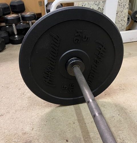 Affenhand Bumper Plates – erneuter Kauf dank Qualität und fairer Preis-Leistung