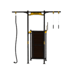Outdoor Rack mit Handstand-Pushup-Platte und Klimmzug-Station