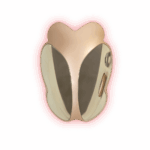 Rotlicht Gesichtsmaske
