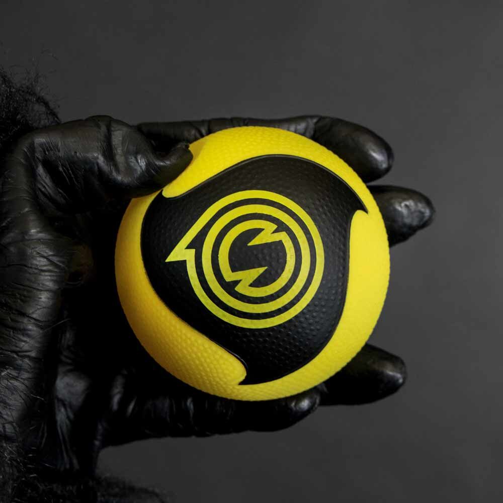 Spikeball Ball Ersatz Pro