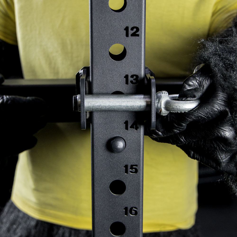 Befestigung Diphorn Rack