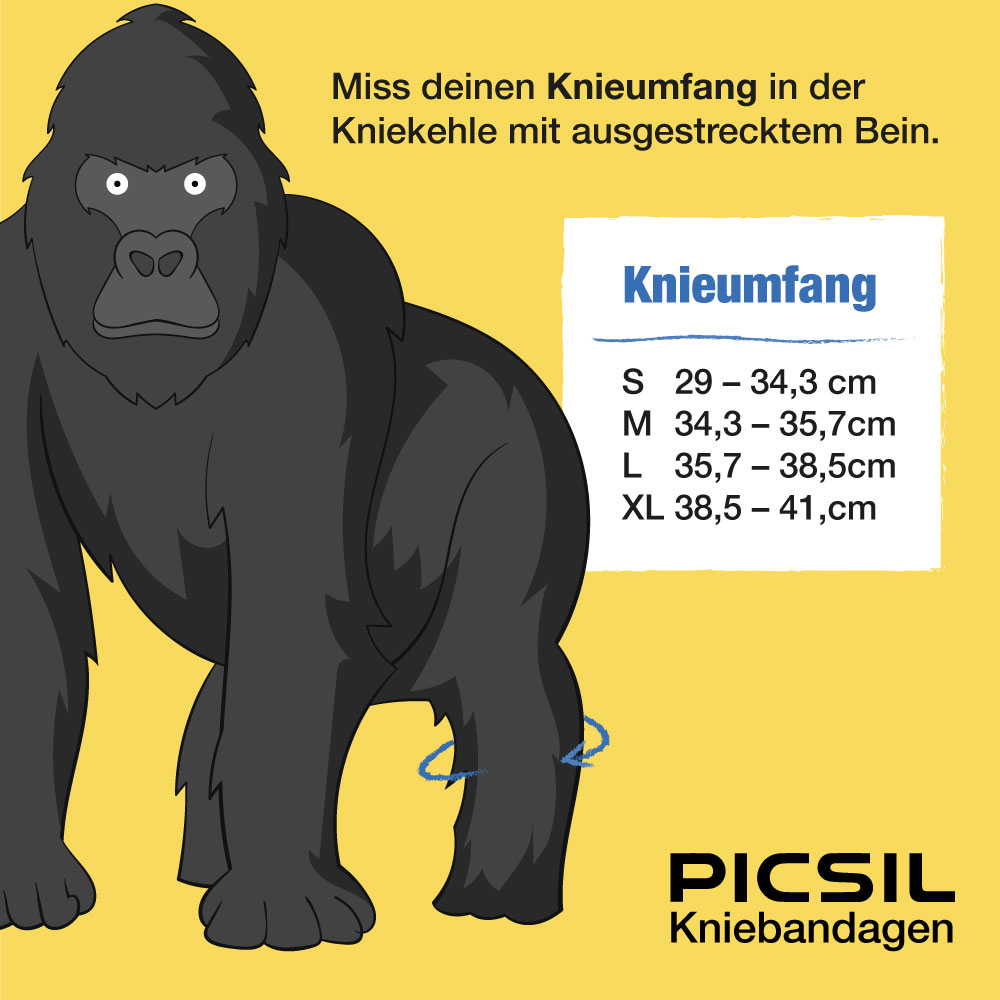 Picsil Kniebandagen (Paar) – Bild 5