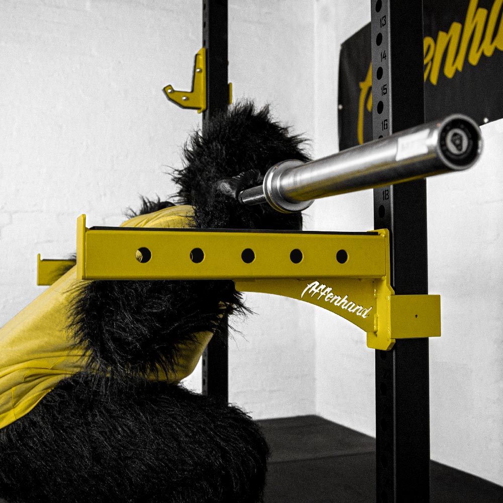 Safety Arms für Rack