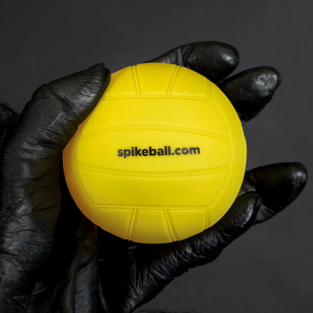 Spikeball Ball Ersatz Standard